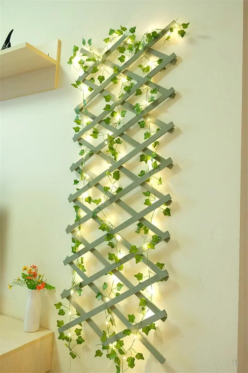 alishop:df3c95805f5e
