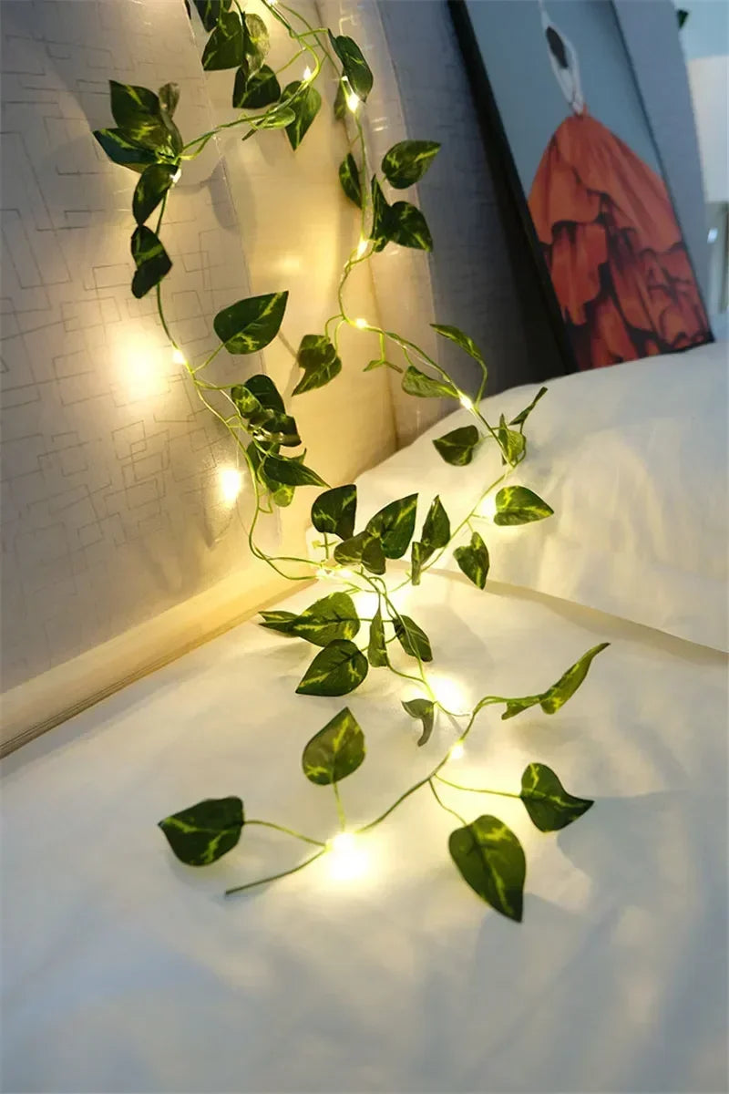 alishop:4d62e5003bb1